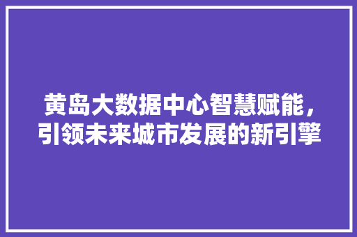 黄岛大数据中心智慧赋能，引领未来城市发展的新引擎
