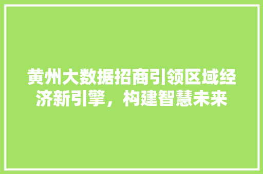 黄州大数据招商引领区域经济新引擎，构建智慧未来