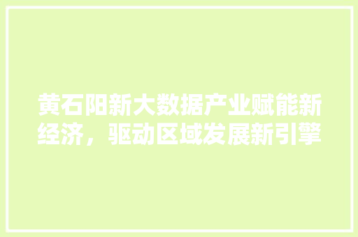 黄石阳新大数据产业赋能新经济，驱动区域发展新引擎