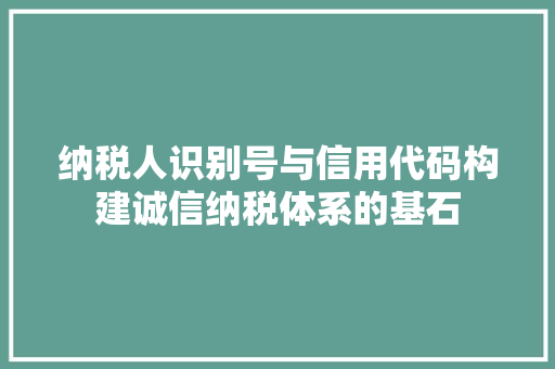 纳税人识别号与信用代码构建诚信纳税体系的基石