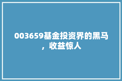 003659基金投资界的黑马，收益惊人