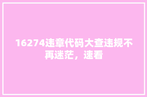16274违章代码大查违规不再迷茫，速看