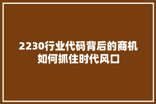 2230行业代码背后的商机如何抓住时代风口