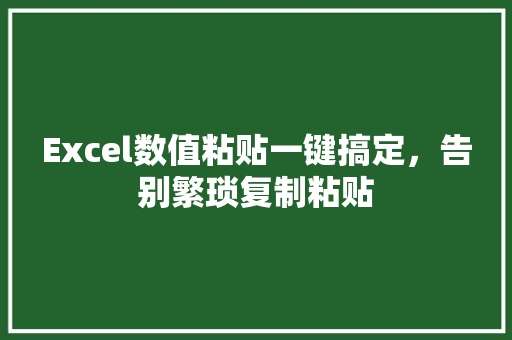 Excel数值粘贴一键搞定，告别繁琐复制粘贴