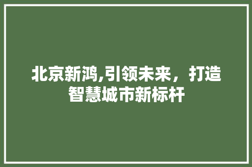 北京新鸿,引领未来，打造智慧城市新标杆 MySQL
