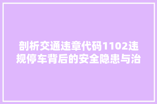 剖析交通违章代码1102违规停车背后的安全隐患与治理之路