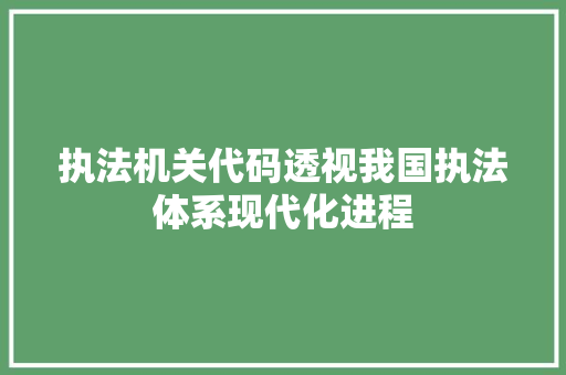 执法机关代码透视我国执法体系现代化进程