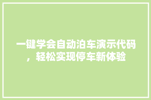 一键学会自动泊车演示代码，轻松实现停车新体验