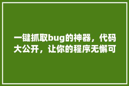一键抓取bug的神器，代码大公开，让你的程序无懈可击