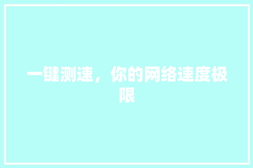 一键测速，你的网络速度极限