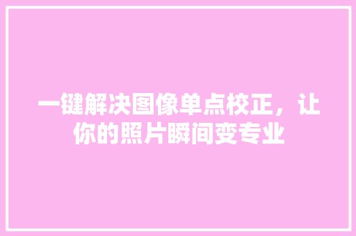 一键解决图像单点校正，让你的照片瞬间变专业