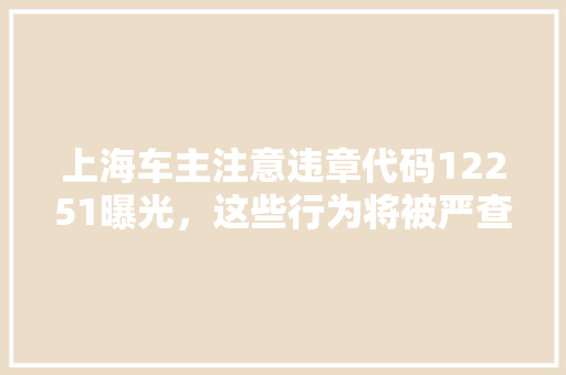 上海车主注意违章代码12251曝光，这些行为将被严查
