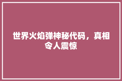 世界火焰弹神秘代码，真相令人震惊