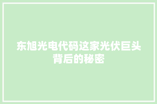 东旭光电代码这家光伏巨头背后的秘密