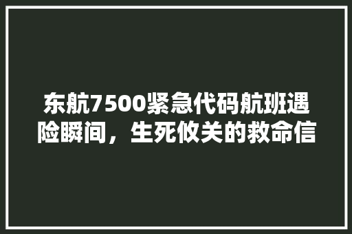 东航7500紧急代码航班遇险瞬间，生死攸关的救命信号