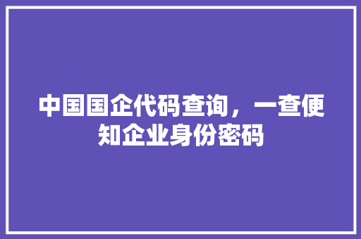中国国企代码查询，一查便知企业身份密码