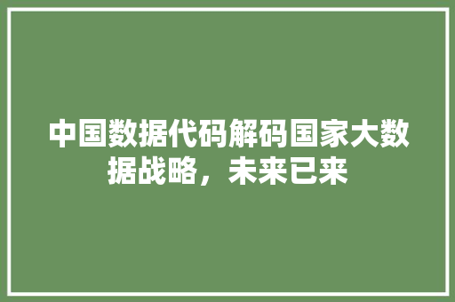中国数据代码解码国家大数据战略，未来已来