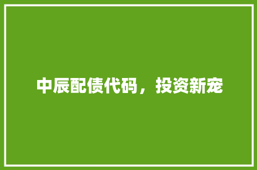 中辰配债代码，投资新宠