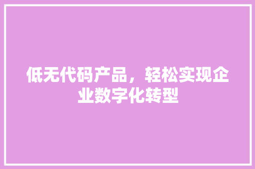 低无代码产品，轻松实现企业数字化转型