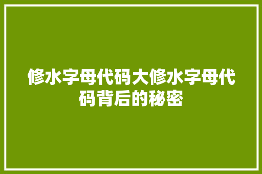修水字母代码大修水字母代码背后的秘密