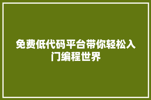 免费低代码平台带你轻松入门编程世界