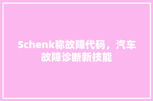 Schenk称故障代码，汽车故障诊断新技能