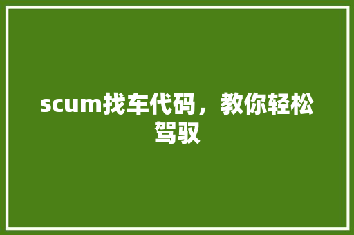 scum找车代码，教你轻松驾驭