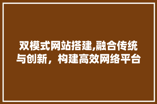 双模式网站搭建,融合传统与创新，构建高效网络平台