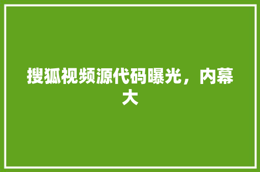 搜狐视频源代码曝光，内幕大