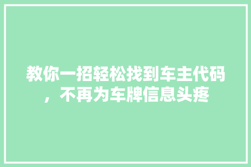 教你一招轻松找到车主代码，不再为车牌信息头疼