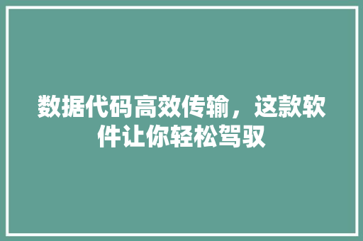 数据代码高效传输，这款软件让你轻松驾驭