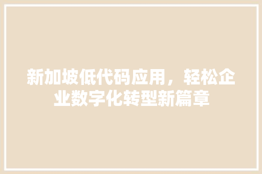 新加坡低代码应用，轻松企业数字化转型新篇章