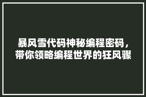 暴风雪代码神秘编程密码，带你领略编程世界的狂风骤雨