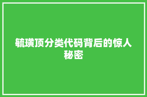 毓璜顶分类代码背后的惊人秘密