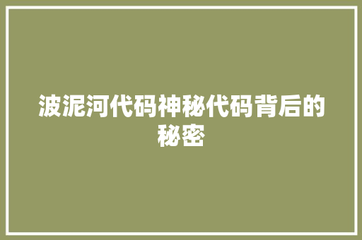 波泥河代码神秘代码背后的秘密