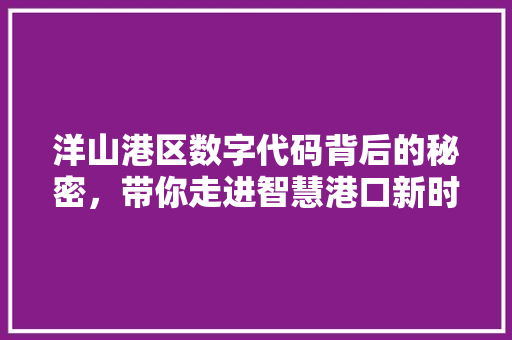 洋山港区数字代码背后的秘密，带你走进智慧港口新时代