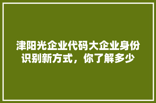 津阳光企业代码大企业身份识别新方式，你了解多少