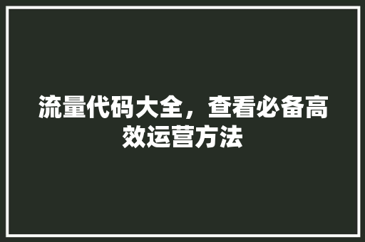 流量代码大全，查看必备高效运营方法