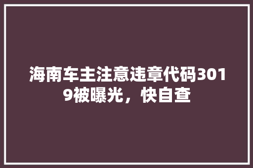 海南车主注意违章代码3019被曝光，快自查