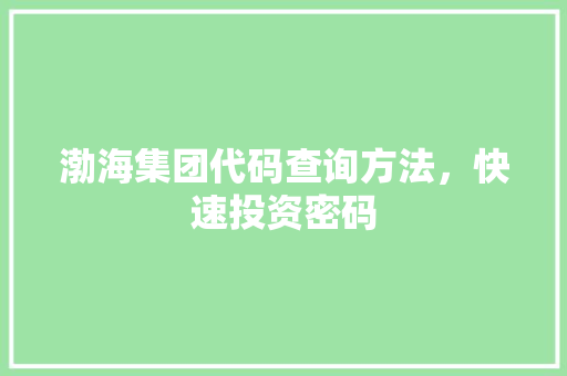 渤海集团代码查询方法，快速投资密码