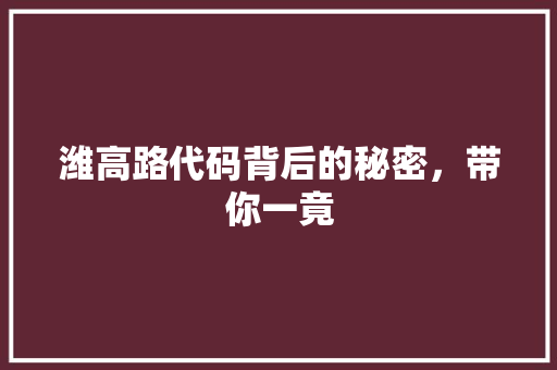 潍高路代码背后的秘密，带你一竟