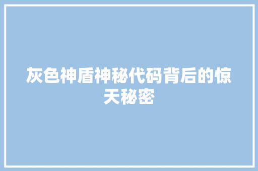 灰色神盾神秘代码背后的惊天秘密