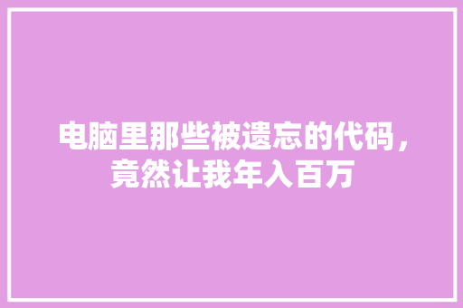 电脑里那些被遗忘的代码，竟然让我年入百万