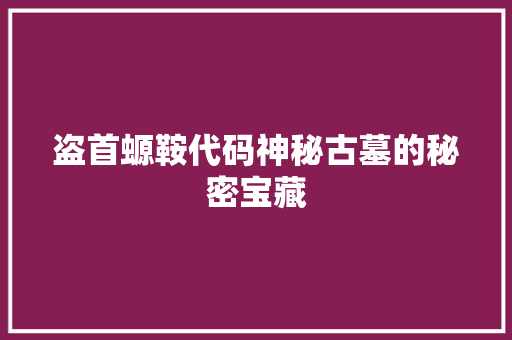 盗首螈鞍代码神秘古墓的秘密宝藏