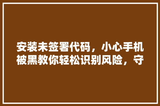 安装未签署代码，小心手机被黑教你轻松识别风险，守护手机安全