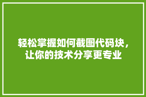 轻松掌握如何截图代码块，让你的技术分享更专业