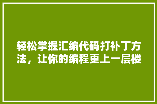 轻松掌握汇编代码打补丁方法，让你的编程更上一层楼