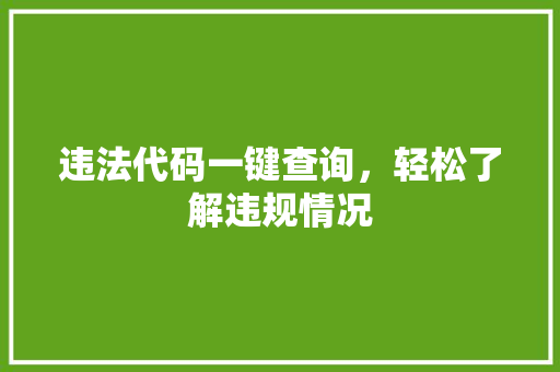 违法代码一键查询，轻松了解违规情况
