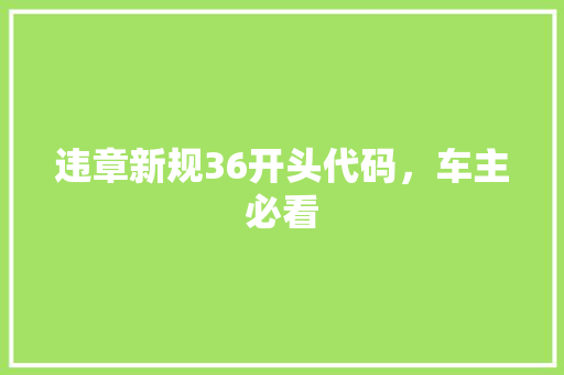 违章新规36开头代码，车主必看