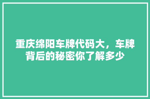 重庆绵阳车牌代码大，车牌背后的秘密你了解多少